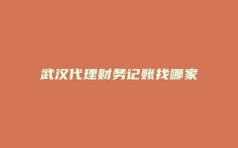 武汉代理财务记账找哪家