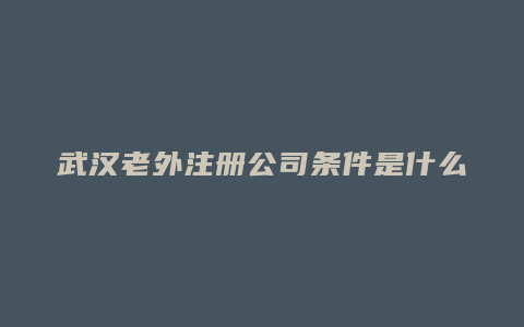 武汉老外注册公司条件是什么