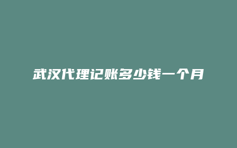 武汉代理记账多少钱一个月