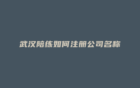 武汉陪练如何注册公司名称