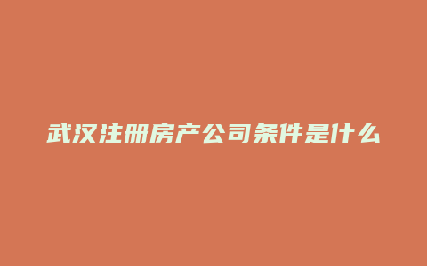 武汉注册房产公司条件是什么