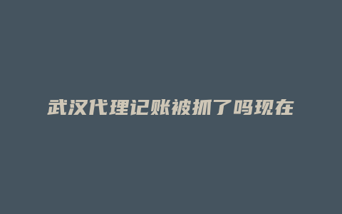 武汉代理记账被抓了吗现在