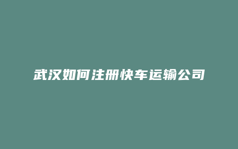 武汉如何注册快车运输公司