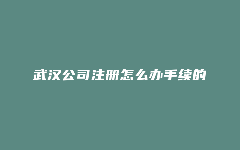 武汉公司注册怎么办手续的