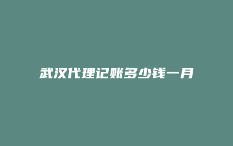 武汉代理记账多少钱一月