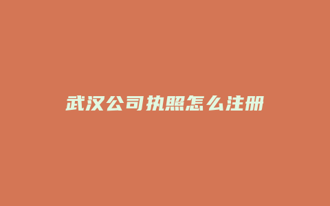 武汉公司执照怎么注册