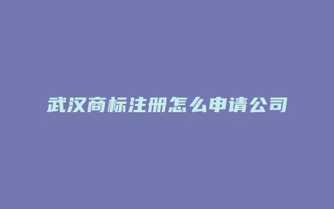 武汉商标注册怎么申请公司