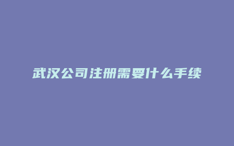 武汉公司注册需要什么手续