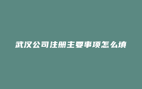 武汉公司注册主要事项怎么填