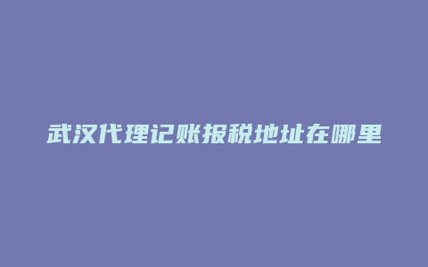 武汉代理记账报税地址在哪里