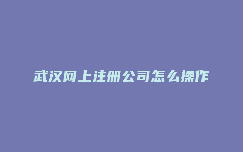 武汉网上注册公司怎么操作