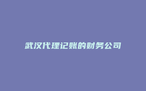 武汉代理记账的财务公司