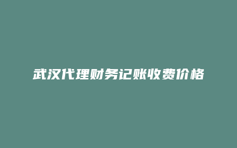 武汉代理财务记账收费价格