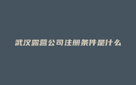 武汉露营公司注册条件是什么