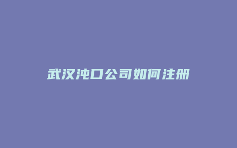 武汉沌口公司如何注册