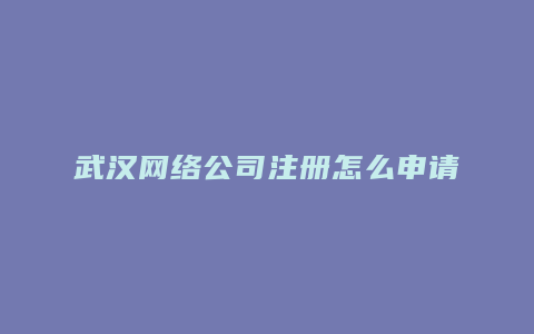 武汉网络公司注册怎么申请