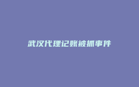 武汉代理记账被抓事件