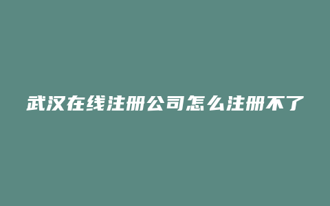 武汉在线注册公司怎么注册不了