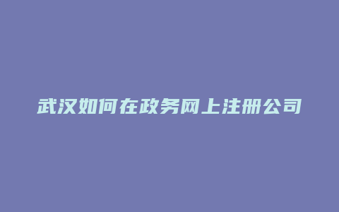 武汉如何在政务网上注册公司