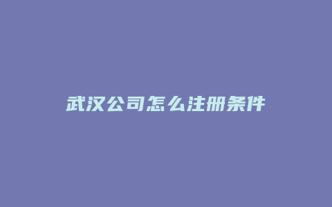 武汉公司怎么注册条件