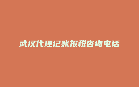 武汉代理记账报税咨询电话