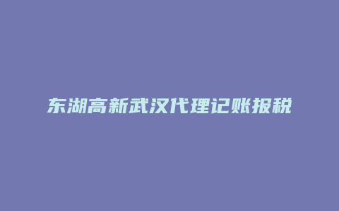 东湖高新武汉代理记账报税