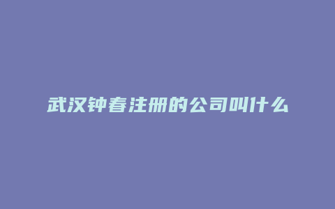 武汉钟春注册的公司叫什么