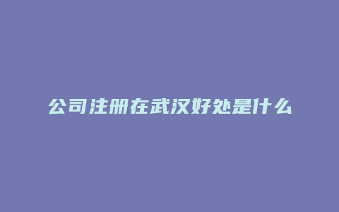 公司注册在武汉好处是什么