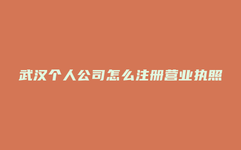 武汉个人公司怎么注册营业执照