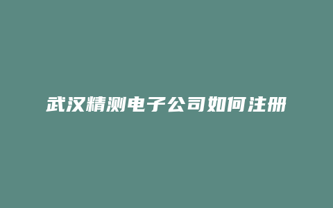 武汉精测电子公司如何注册