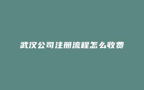 武汉公司注册流程怎么收费