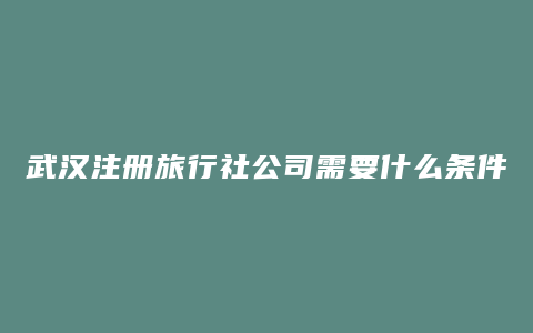 武汉注册旅行社公司需要什么条件