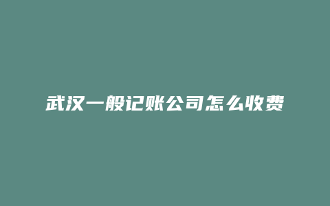 武汉一般记账公司怎么收费