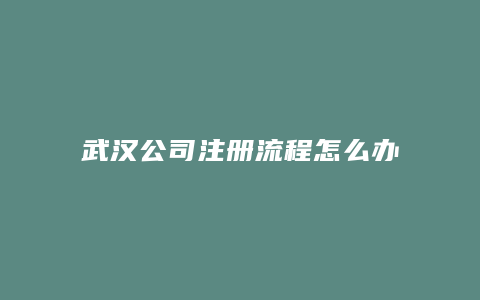 武汉公司注册流程怎么办