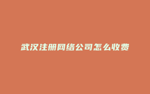 武汉注册网络公司怎么收费