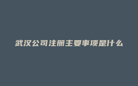 武汉公司注册主要事项是什么