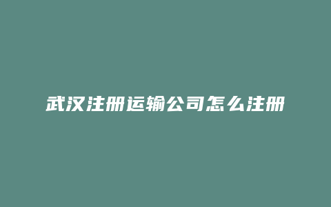 武汉注册运输公司怎么注册