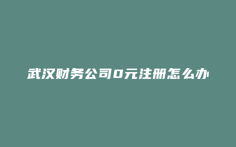 武汉财务公司0元注册怎么办