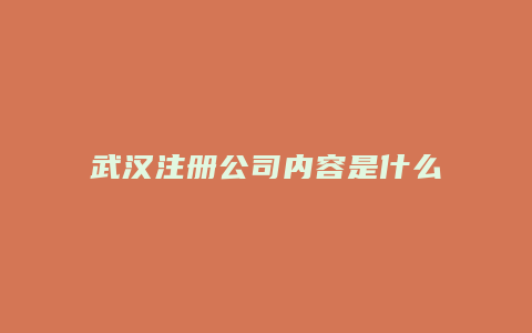 武汉注册公司内容是什么