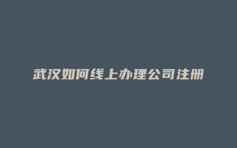 武汉如何线上办理公司注册