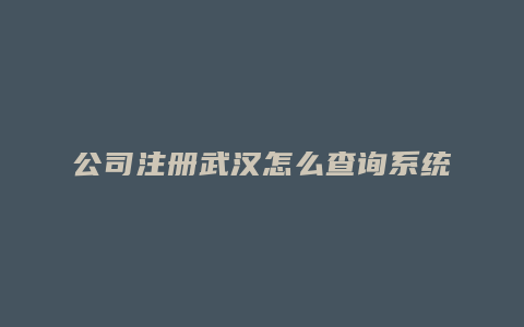 公司注册武汉怎么查询系统