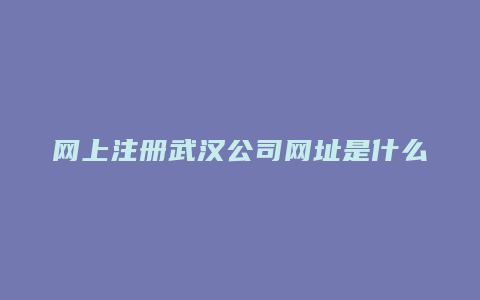 网上注册武汉公司网址是什么