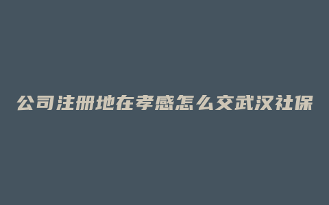 公司注册地在孝感怎么交武汉社保