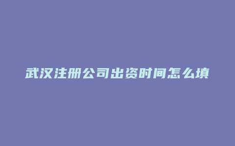 武汉注册公司出资时间怎么填