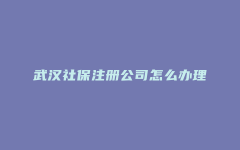 武汉社保注册公司怎么办理