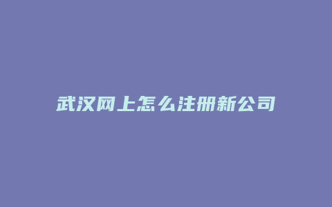 武汉网上怎么注册新公司