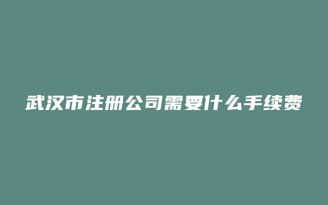 武汉市注册公司需要什么手续费