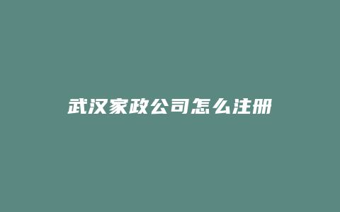 武汉家政公司怎么注册