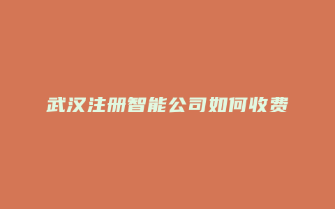 武汉注册智能公司如何收费