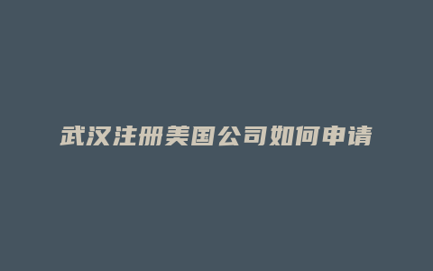 武汉注册美国公司如何申请